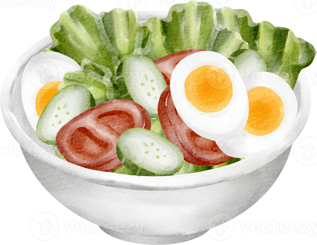 watercolor salad breakfast png