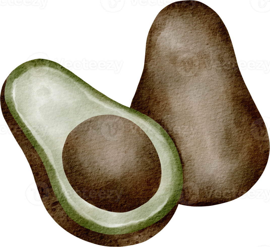 waterverf avocado groente klem kunst png