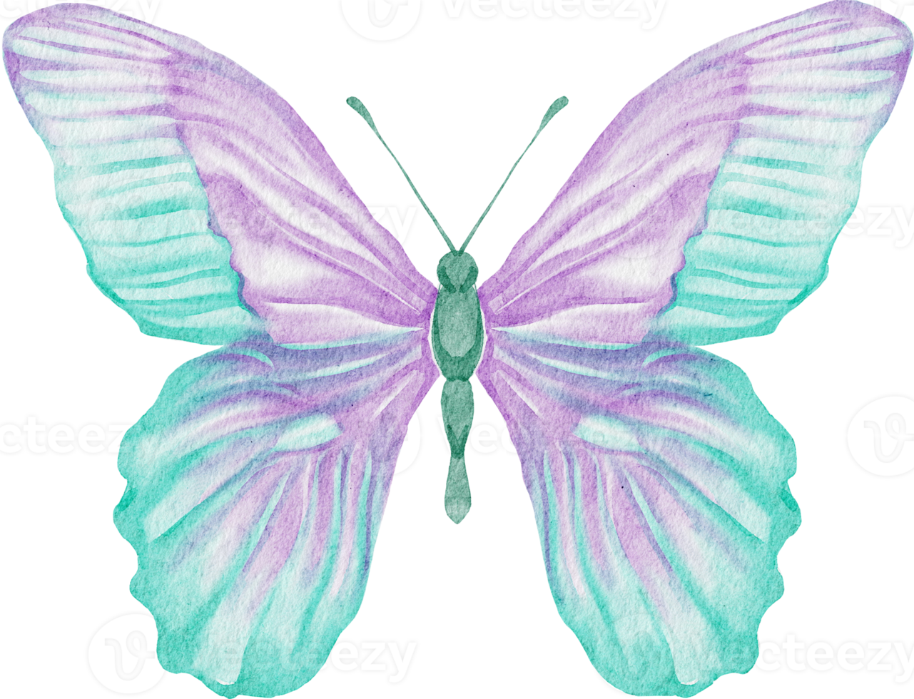 waterverf vlinder pastel png