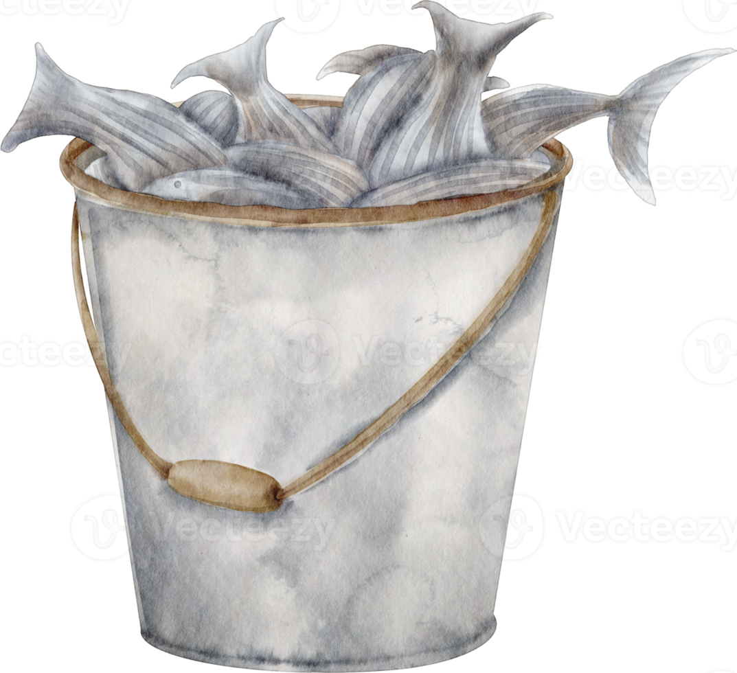 watercolor fish fishing 16537793 PNG