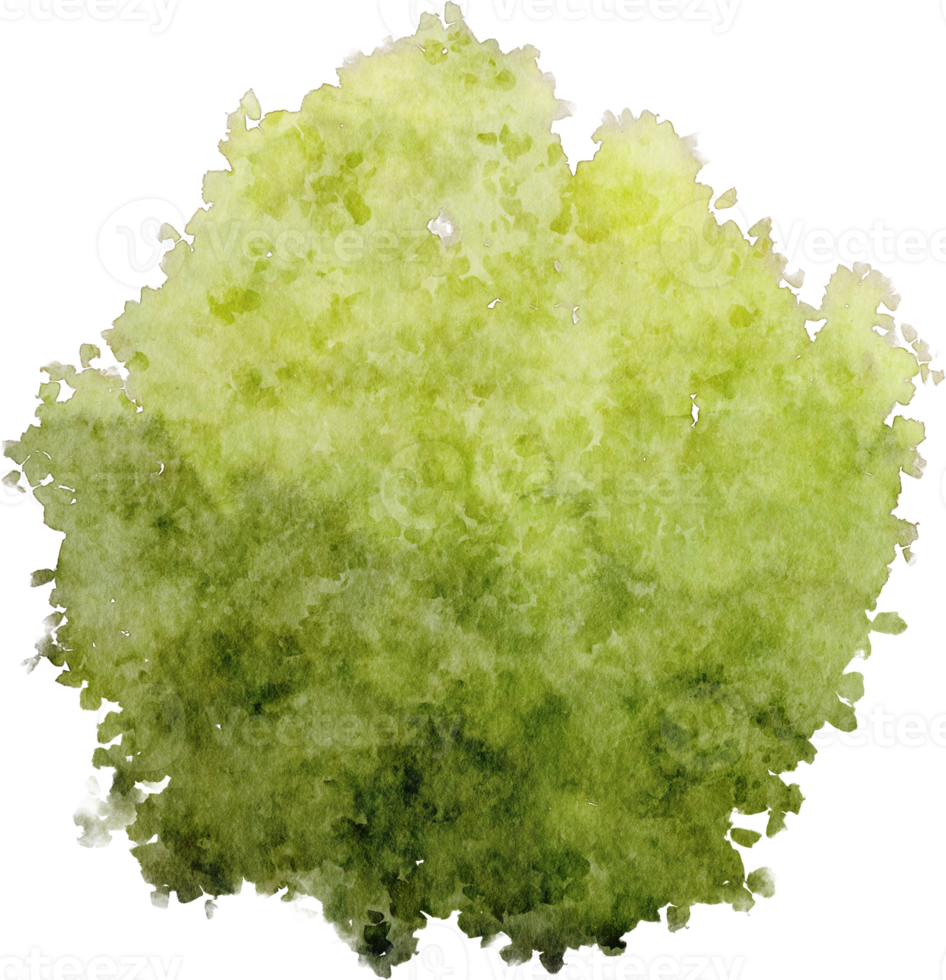 watercolor bush green png