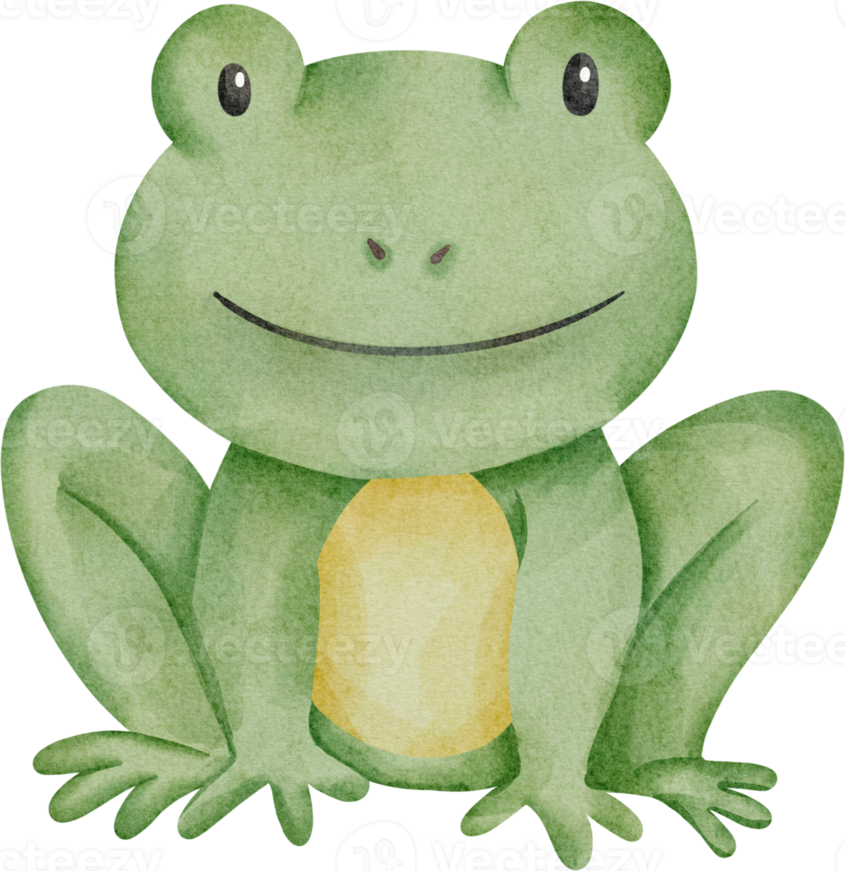 watercolor frog cute clip art png