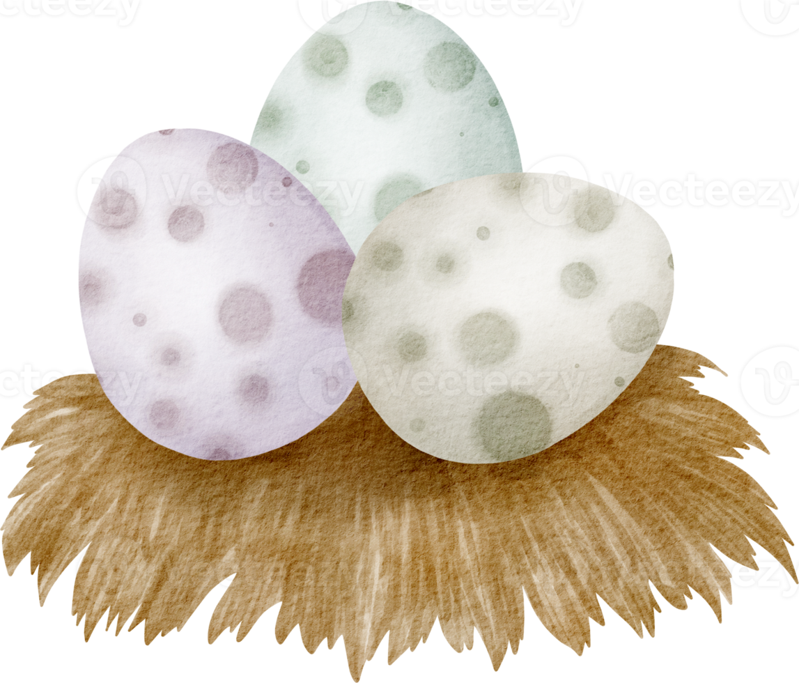 watercolor dinosaur egg png