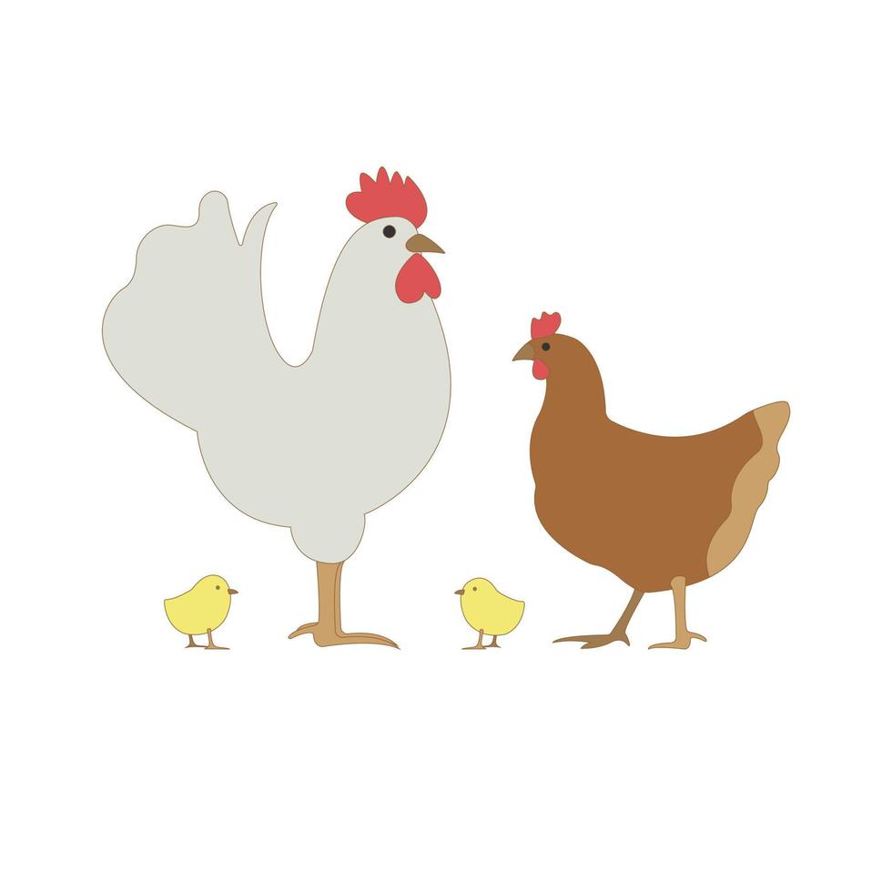 Rooster cock with hen and chicks isolated on white background. Chicken family icons in flat or cartoon style vector illustration.