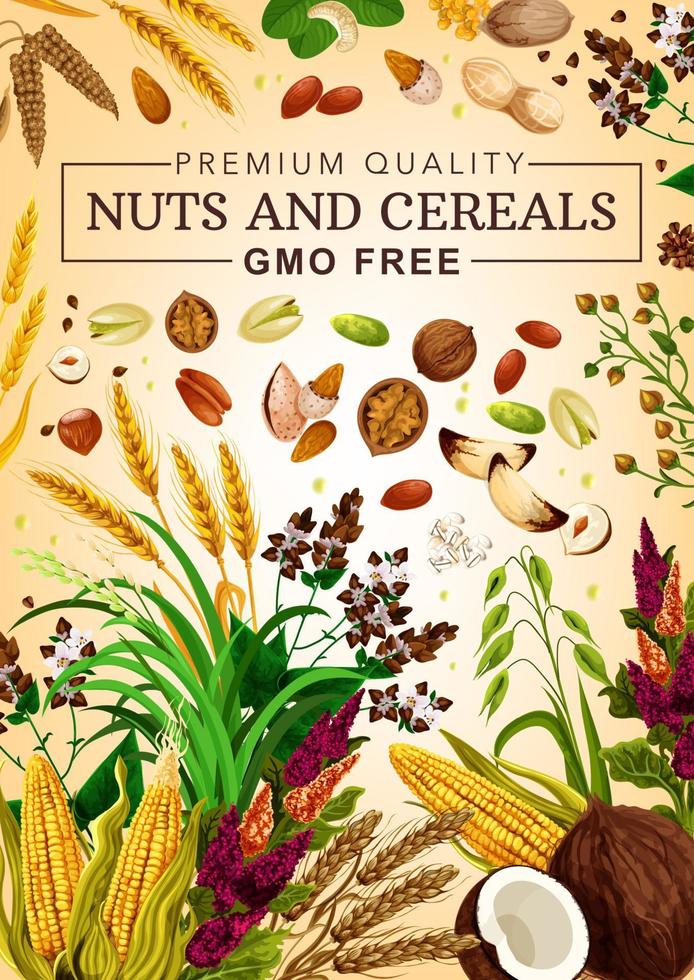 Gmo free cereal grains and nuts vector