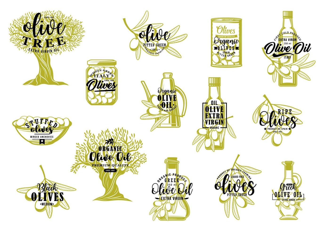 Olive oil bottles, green tree branches and fruits vector