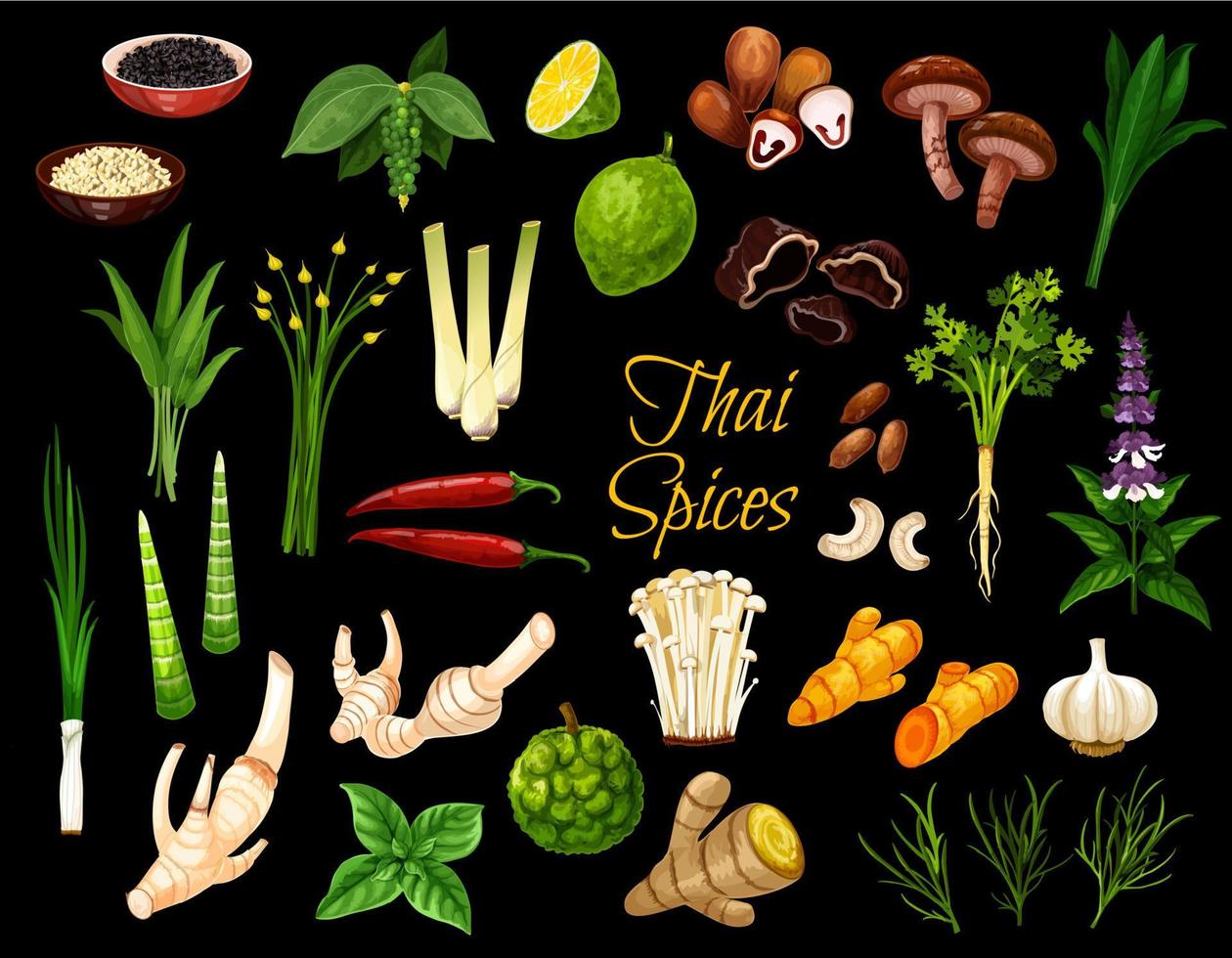 Thai spices, herbs and cooking condiments vector