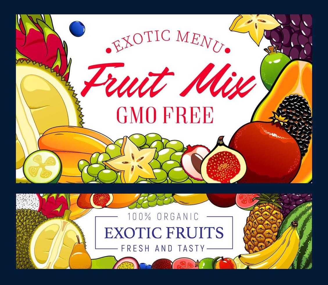 Exotic pineapple, banana, grapes and other fruits vector