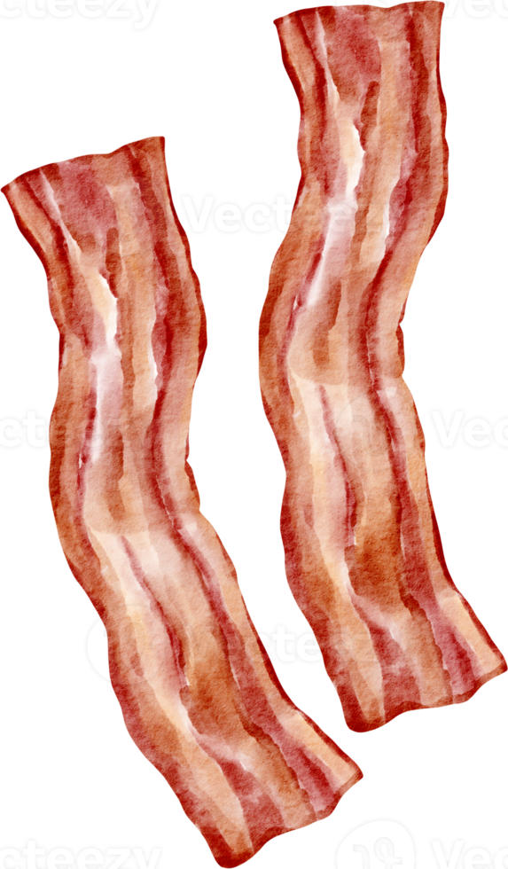 acquerello Bacon clip arte png