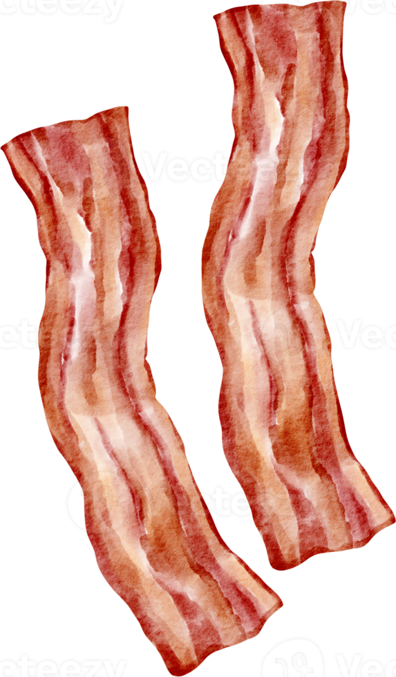 vattenfärg bacon klämma konst png