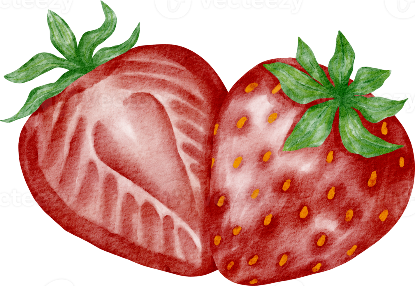 waterverf aardbei fruit png