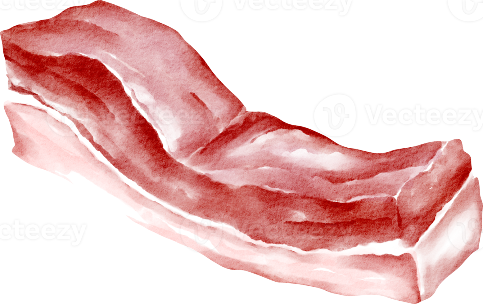 aquarell schweinebauch png