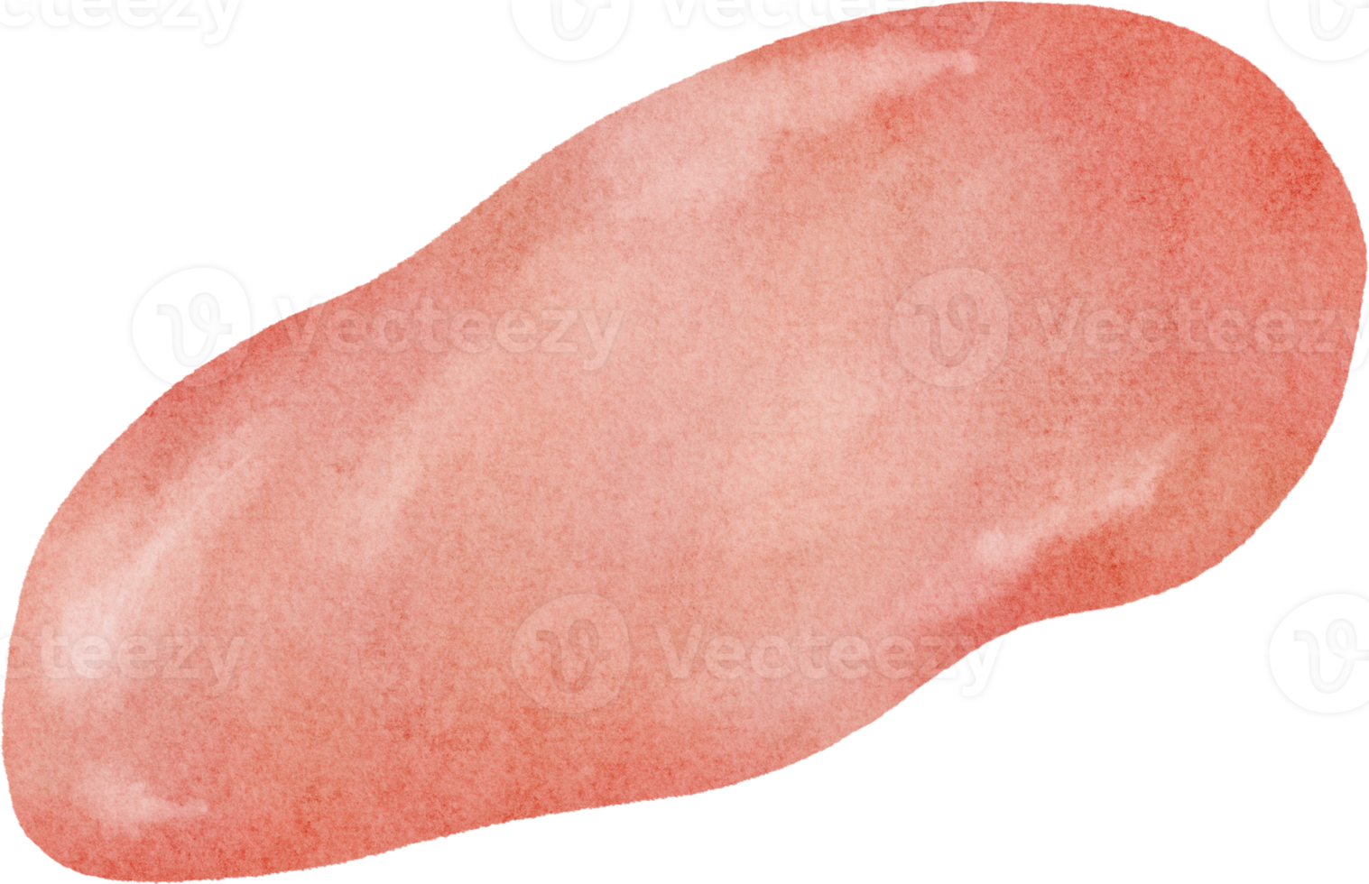 watercolor chicken meat png