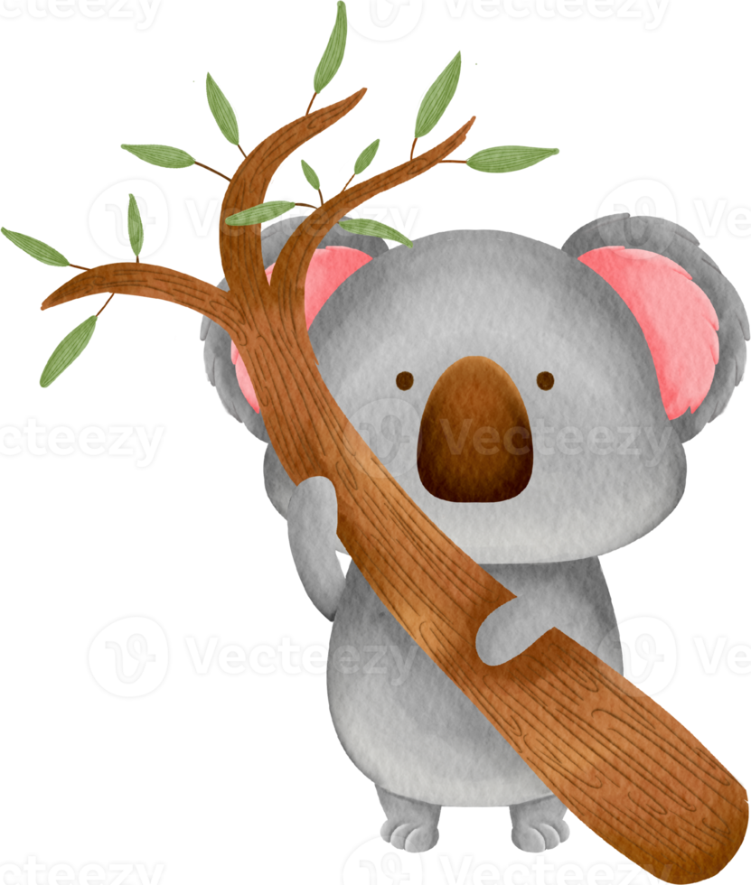 vattenfärg koala söt tecknad serie png