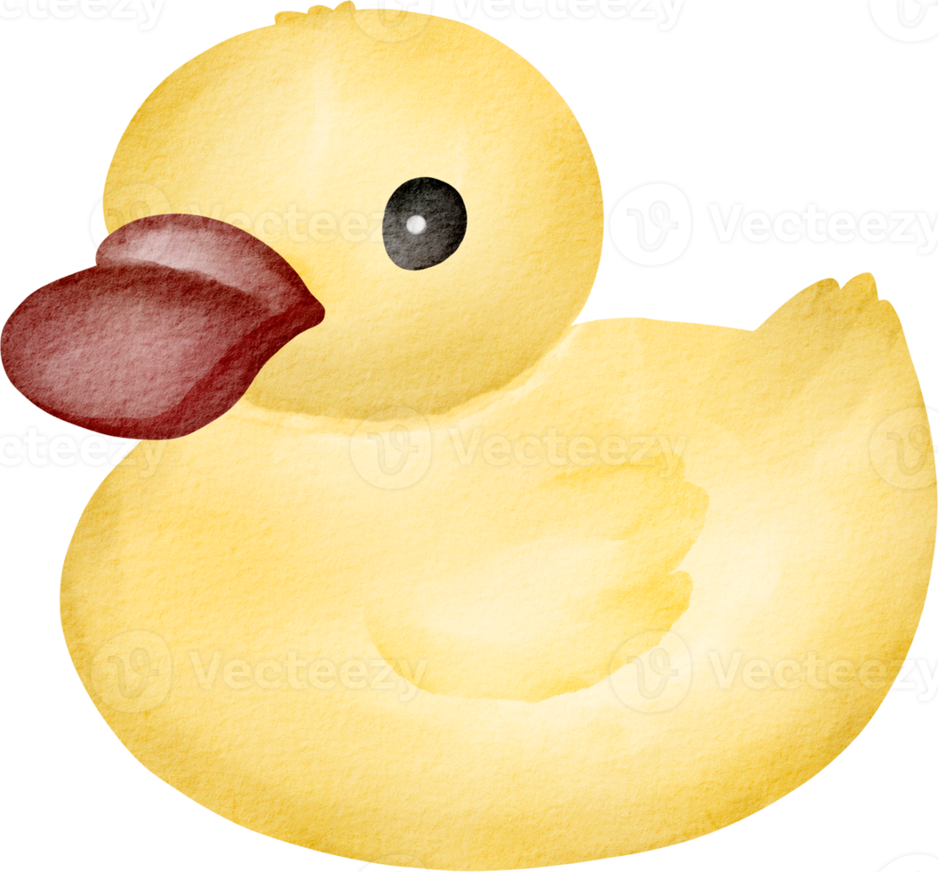 poupée de canard aquarelle png