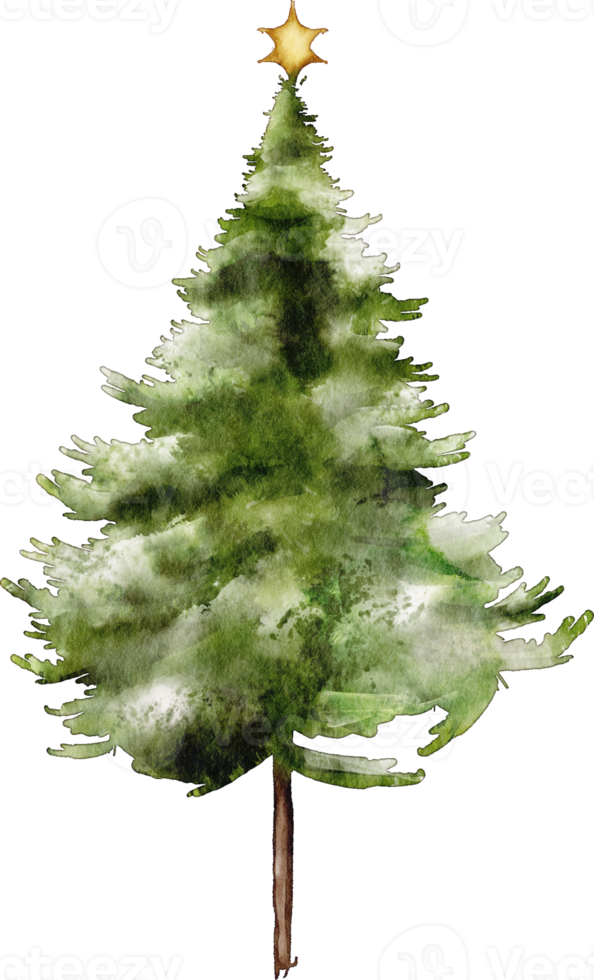 waterverf Kerstmis boom png