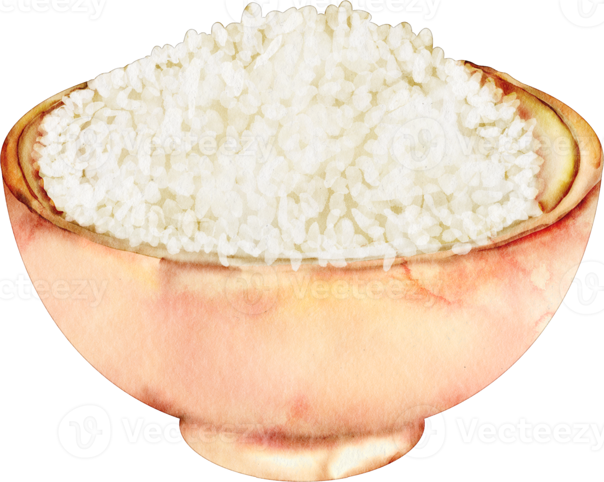 watercolor rice bowl 16539787 PNG