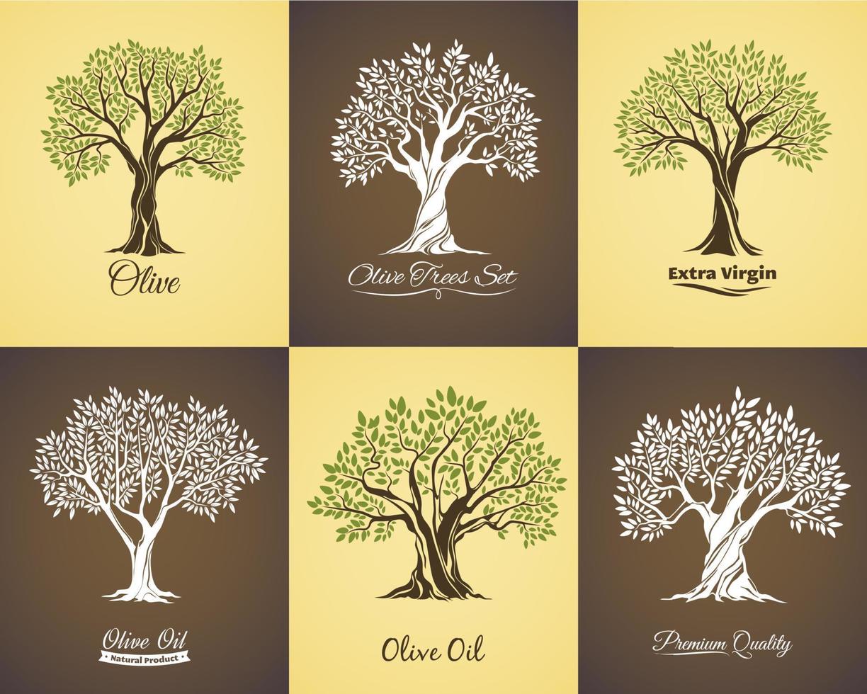 Olive tree icons with branches, leaves. Oil labels vector