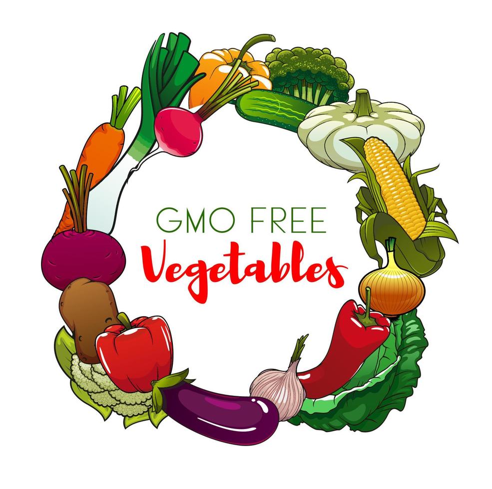 Garden vegetables of farm harvest. GMO free food vector