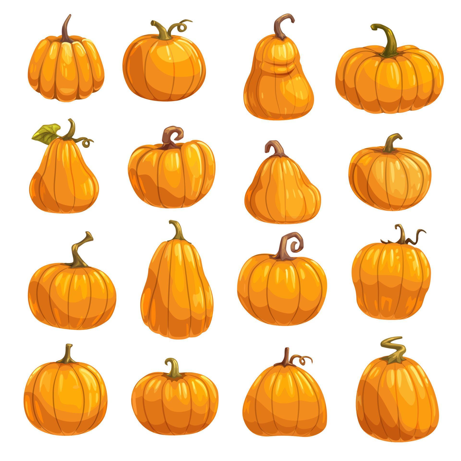 Pumpkin vegetable icons of autumn squash or gourd 16539983 Vector Art
