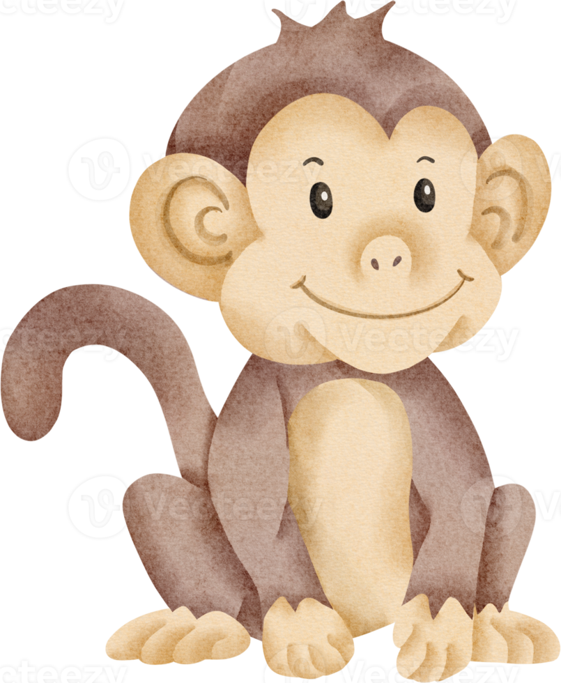 cute monkey watercolor png