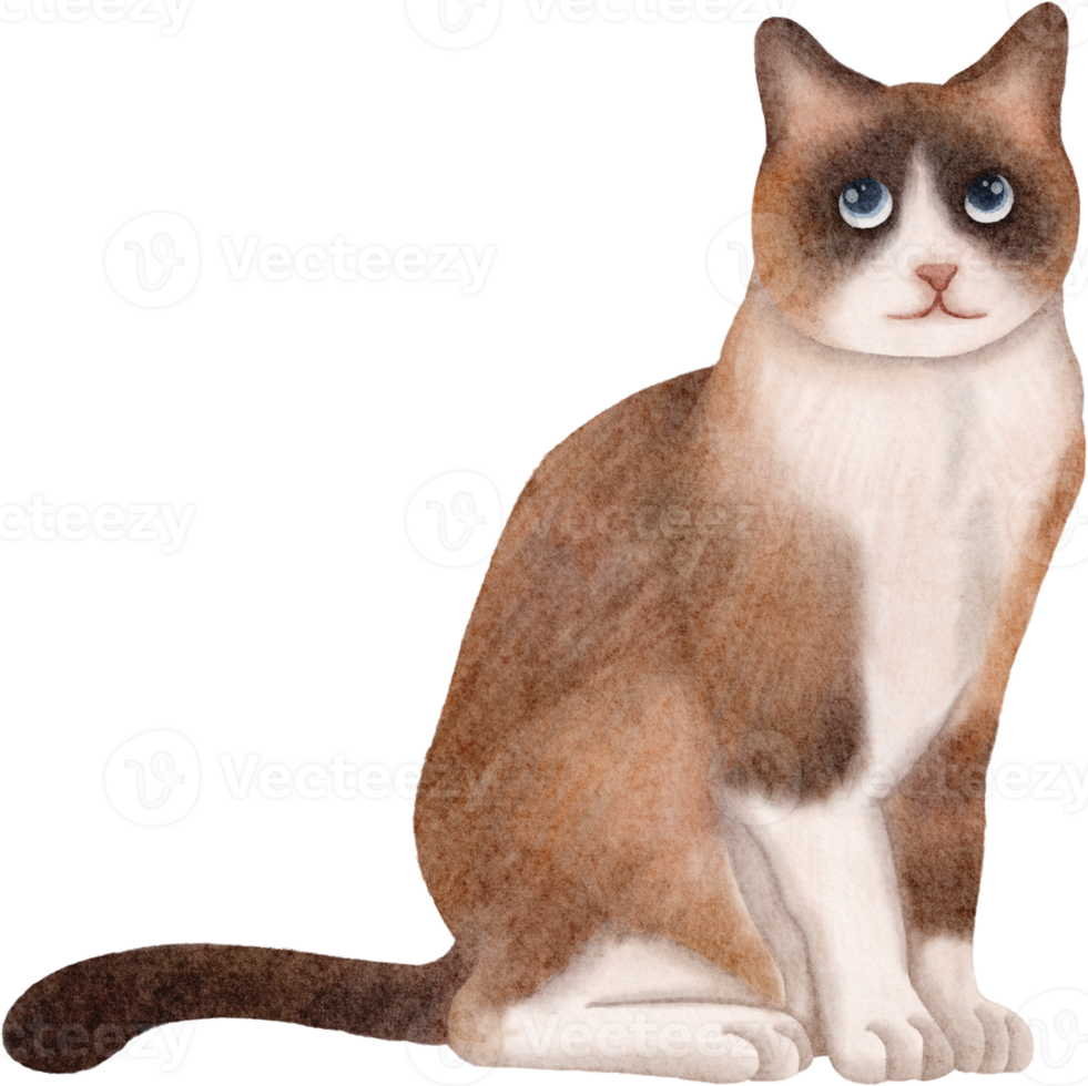 clipart de gato em aquarela png