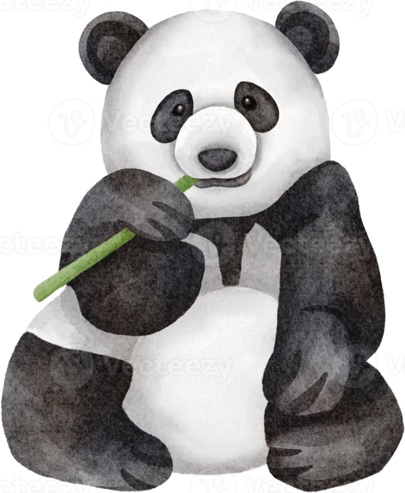 panda watercolor clip art png