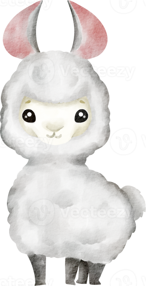 imágenes prediseñadas de alpaca acuarela png