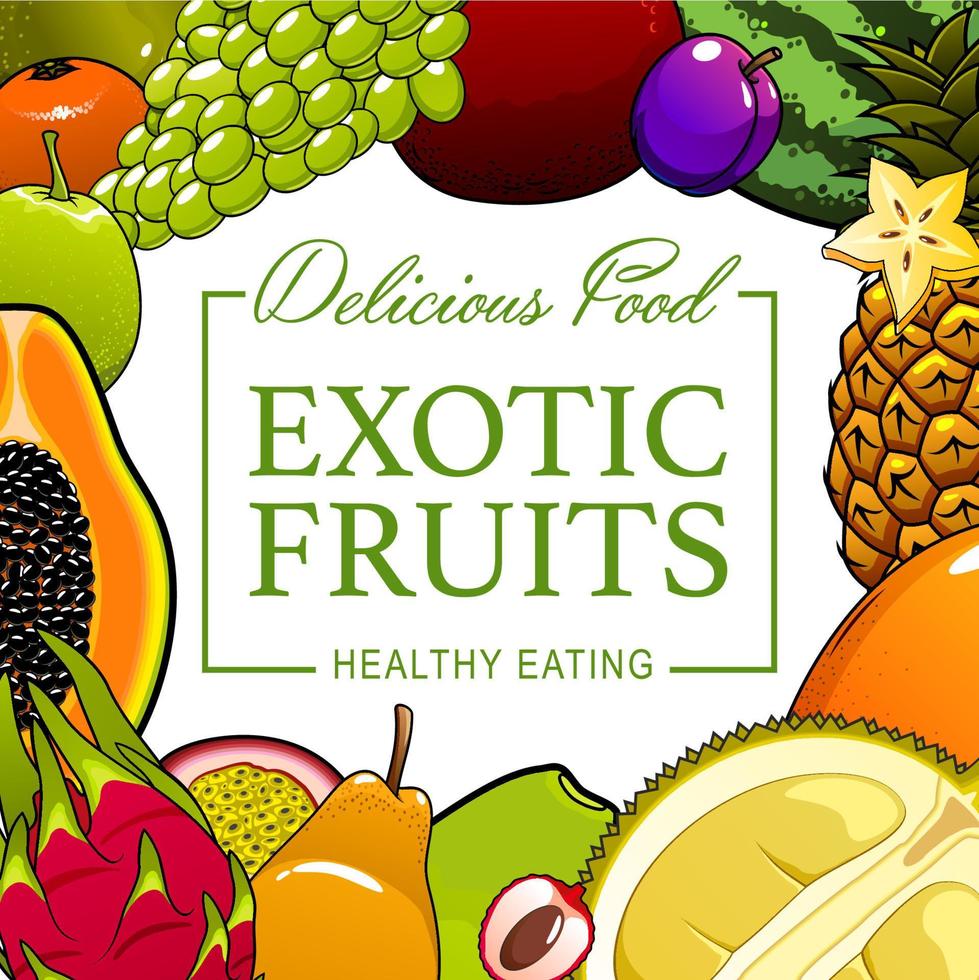 frutas exóticas tropicales y granja alimentos saludables vector