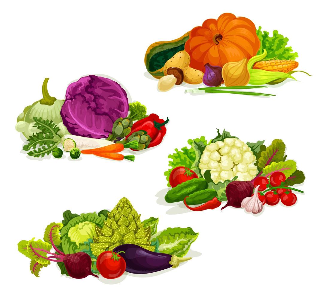 Vegetables, vegetarian food salads and cabbages vector