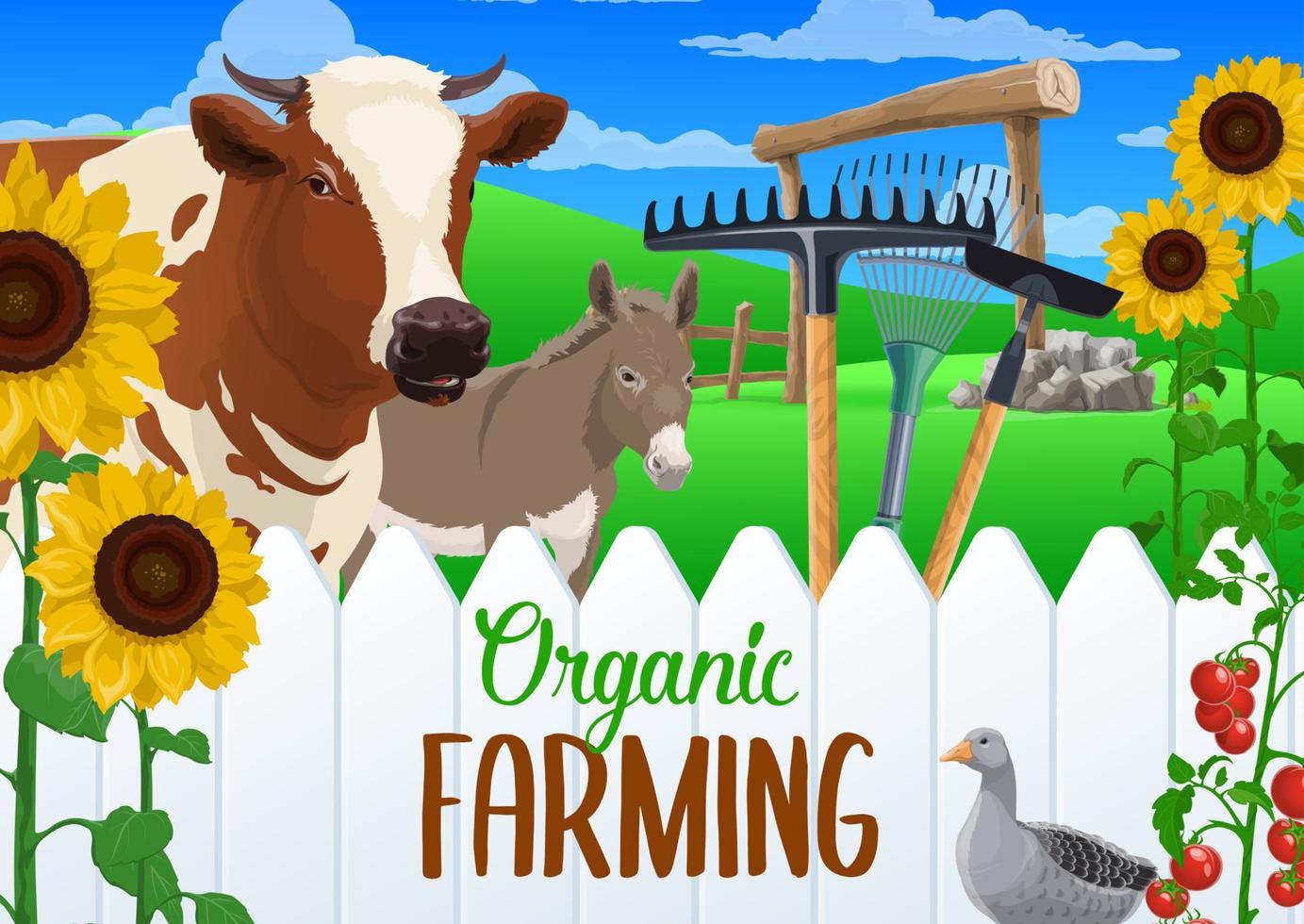 Farming vegetable harvest, farm animals and tools vector