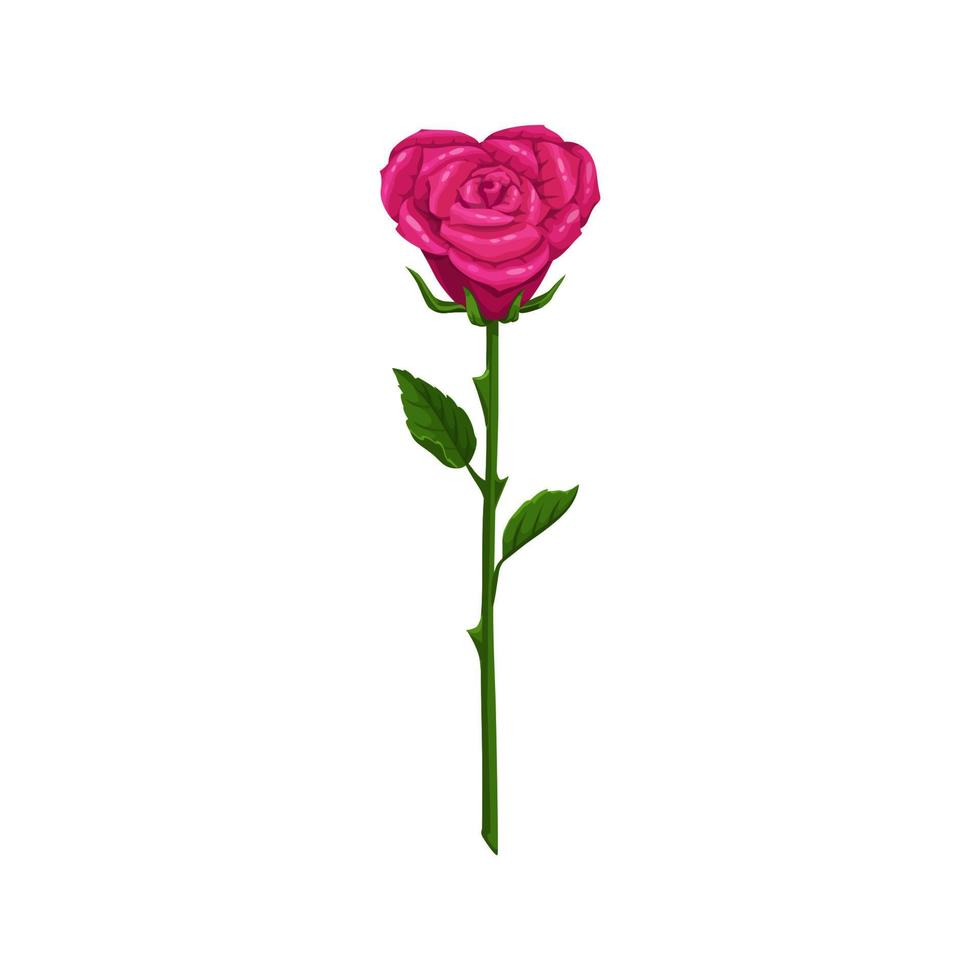 Rosa en forma de corazón flor aislada vector