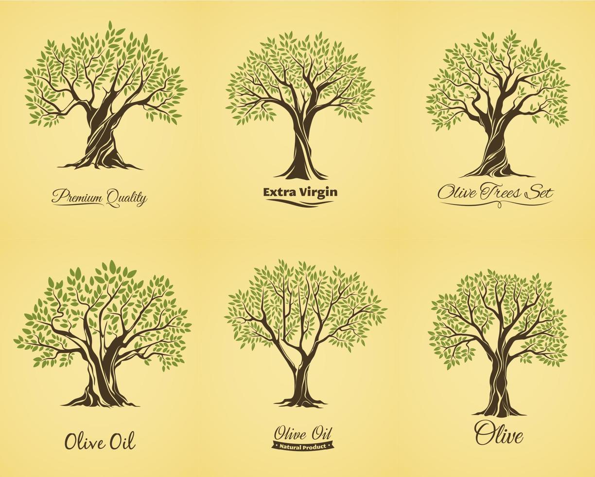 Olive tree silhouettes with leaves and branches vector