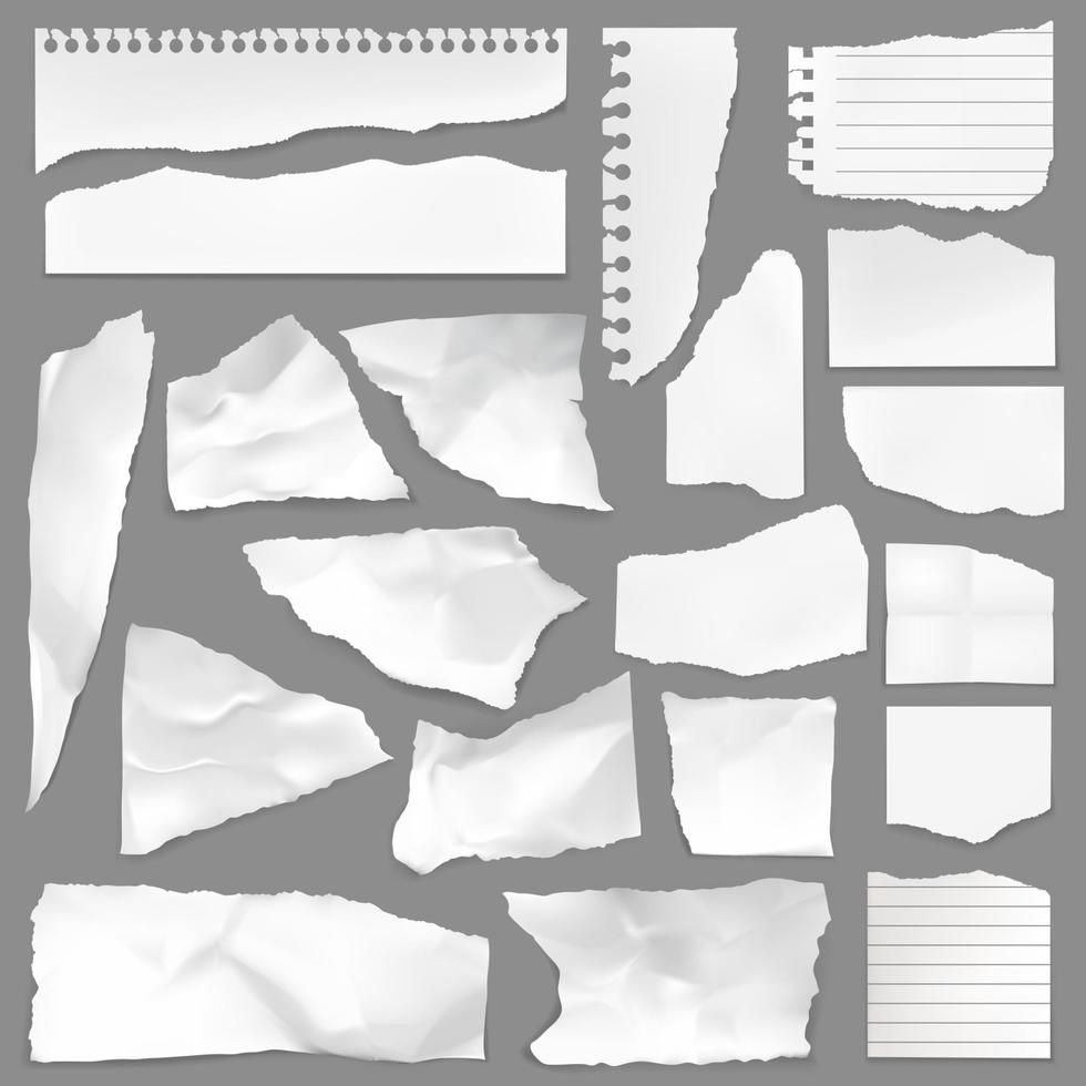 Torn note paper scraps, ripped blank pieces vector