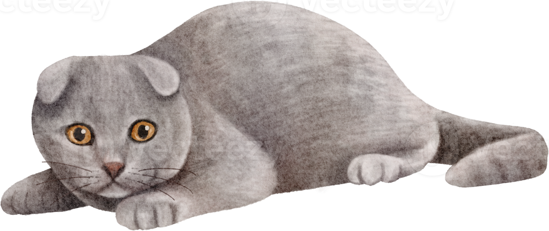 clipart de gato em aquarela png