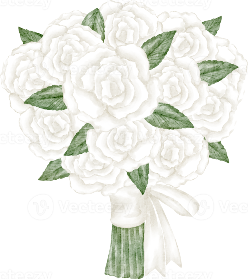 watercolor white rose png