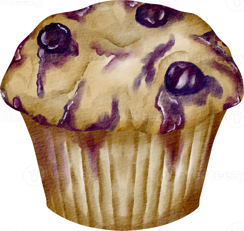 muffin de acuarela de arándanos png