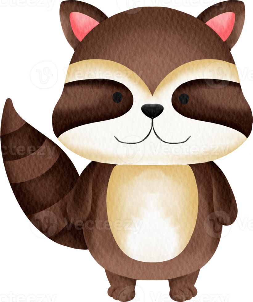 watercolor raccoon cute cartoon png