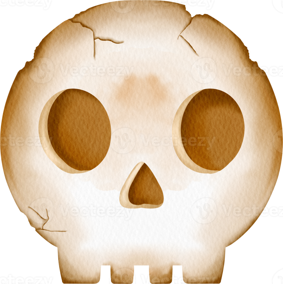 watercolor halloween skull png