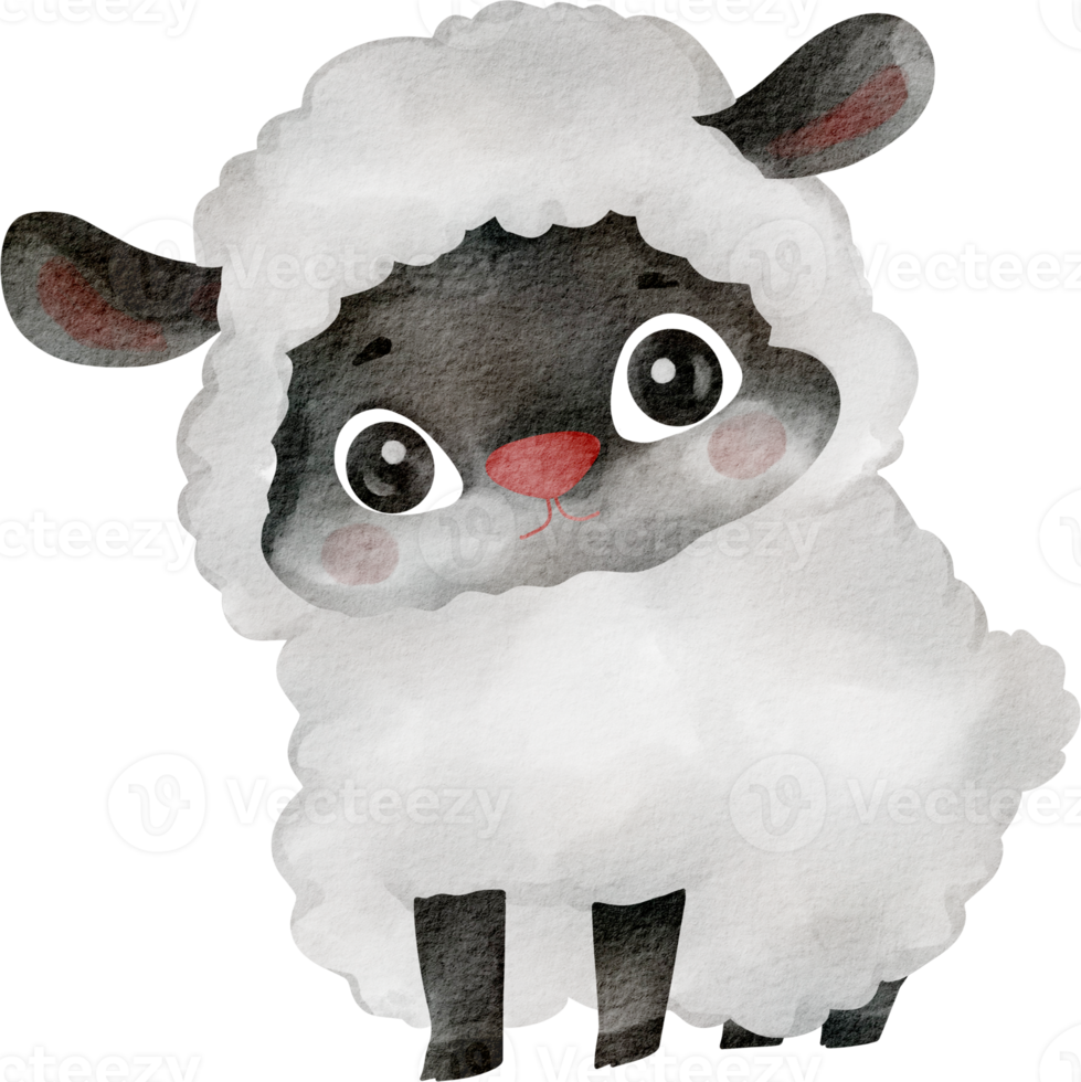 watercolor sheep cute clip art png