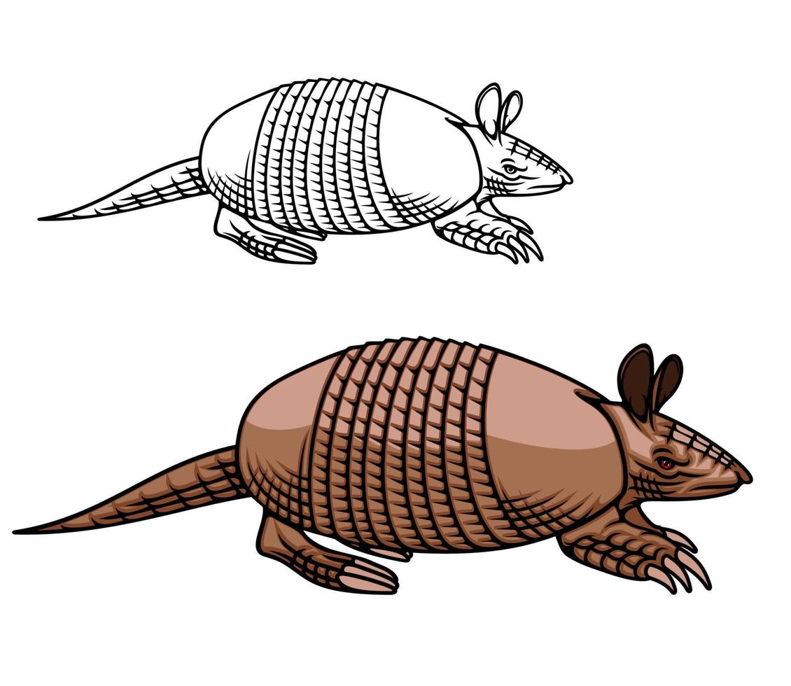 mascota armadillo, animal con icono de caparazón blindado vector