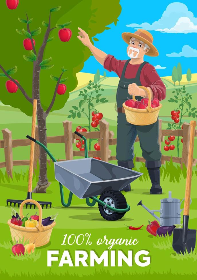 Organic farming, farmer gathering apple fruits vector