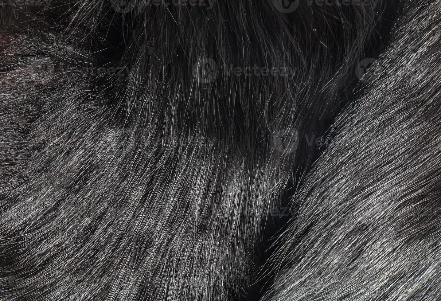 fondo de piel natural con pelo largo. textura de piel de zorro negro, pila alta. foto