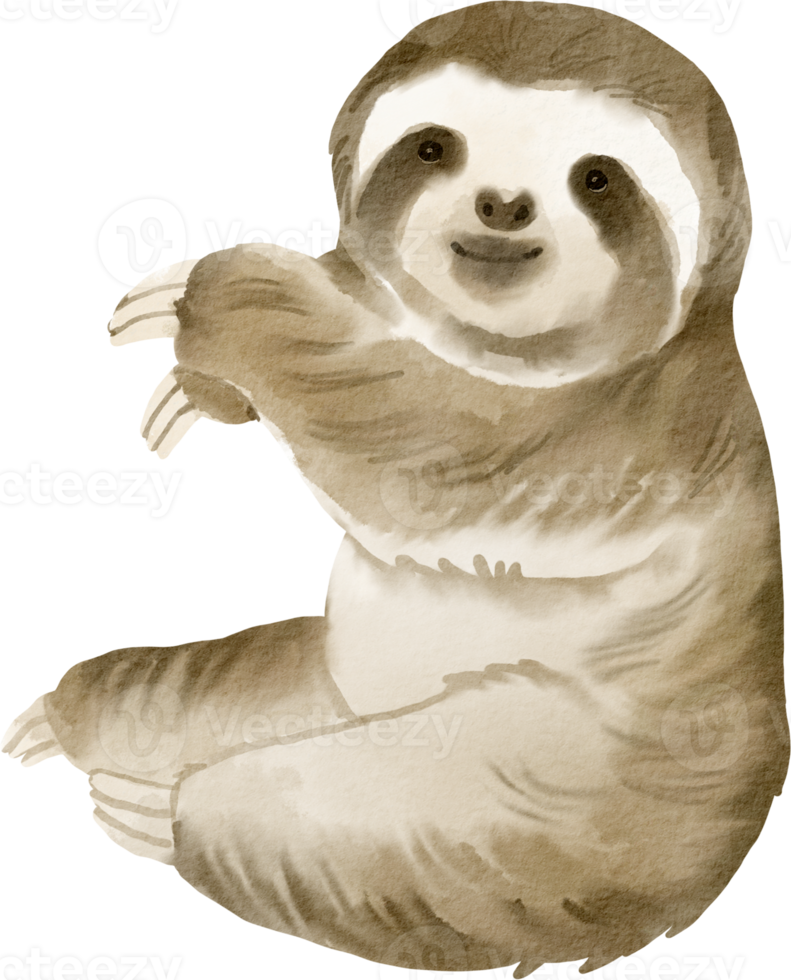 watercolor sloth cute clip art png