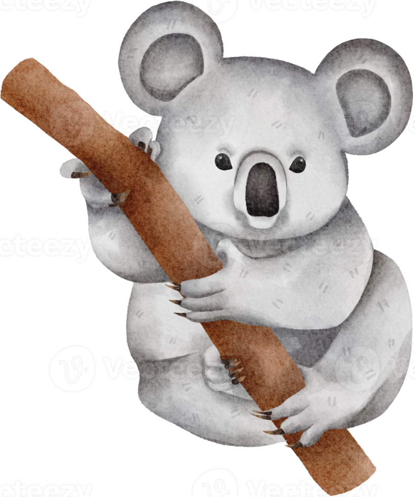 koala waterverf klem kunst png