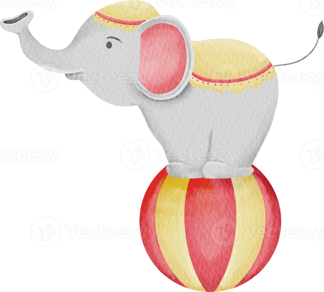 watercolor circus elephant png