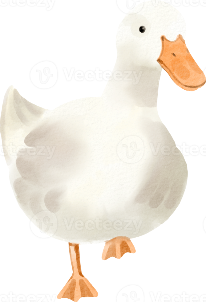 clipart fofo de pato em aquarela png