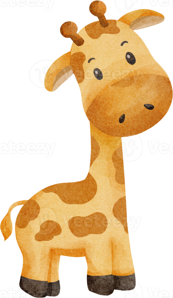 cute giraffe watercolor png