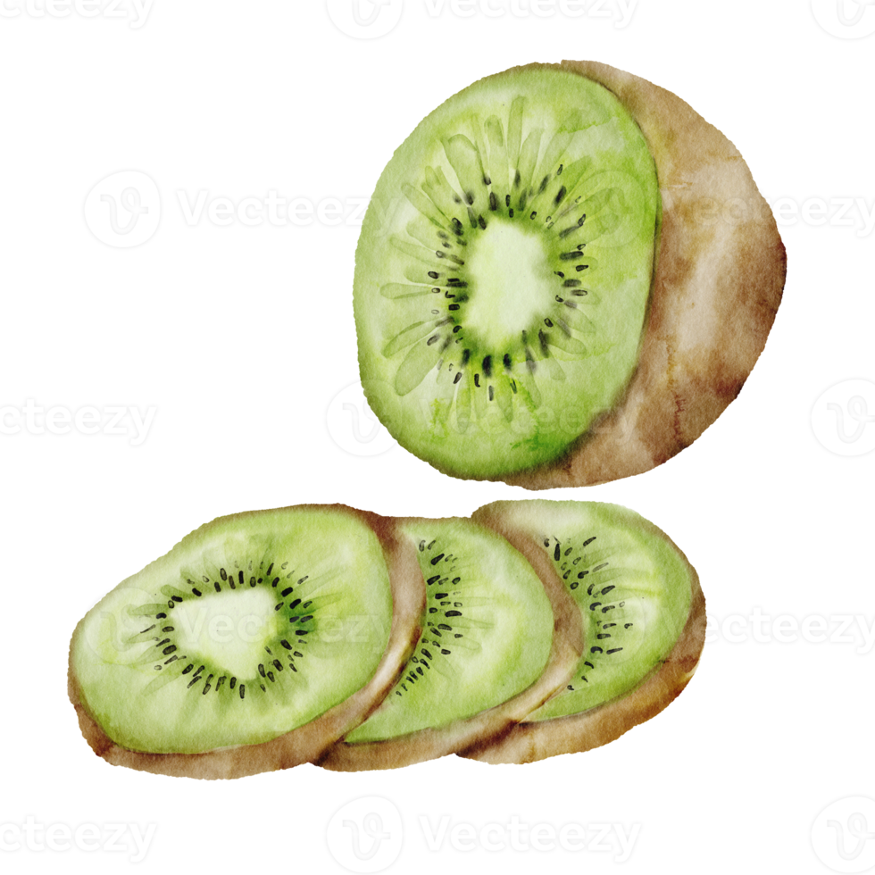 Aquarell-Kiwi-Frucht-ClipArt png