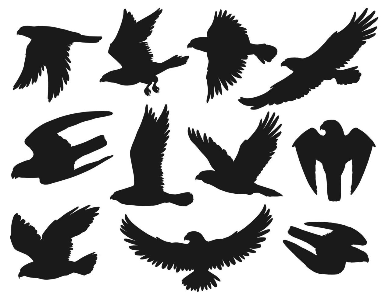 Eagles and hawks black silhouettes, vector birds